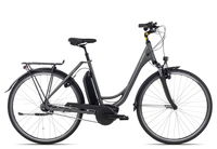 Raleigh Cardiff LB Plus R 47 cm techgreen matt 28 Zoll