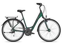 Raleigh CHESTER 27 Wave 2019 50 cm kombugreen matt 50 cm kombugreen matt
