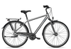 Raleigh CHESTER 8 R Herren 2021 50 cm steelgrey matt 28 Zoll