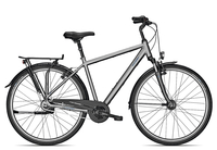 Raleigh CHESTER 8 R Herren 2021 50 cm steelgrey matt 28 Zoll