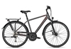 Raleigh DONNINGTON 2021 50 cm jetgrey matt 28 Zoll