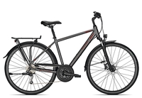 Raleigh DONNINGTON 2021 50 cm jetgrey matt 28 Zoll