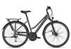Raleigh DONNINGTON Trapez 2021 45 cm jetgrey matt 28 Zoll