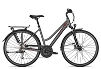 Raleigh DONNINGTON Trapez 2021 45 cm jetgrey matt 28 Zoll