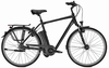 Raleigh Dover Impulse 8 HS 17Ah Herren 55 cm black matt 55 cm black matt