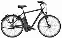 Raleigh Dover Impulse 8 HS 17Ah Herren 55 cm black matt 55 cm black matt