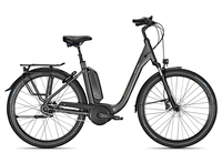 Raleigh KINGSTON 8 R XXL Comfort 2020 50 cm granitegrey matt 50 cm granitegrey matt