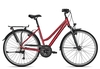 Raleigh ROAD CLASSIC 24 Trapez 2021 45 cm barolored 28 Zoll