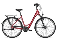 Raleigh ROAD CLASSIC 7 Wave 2021 55 cm barolored 28 Zoll