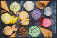 Fussmatte Eis 10455